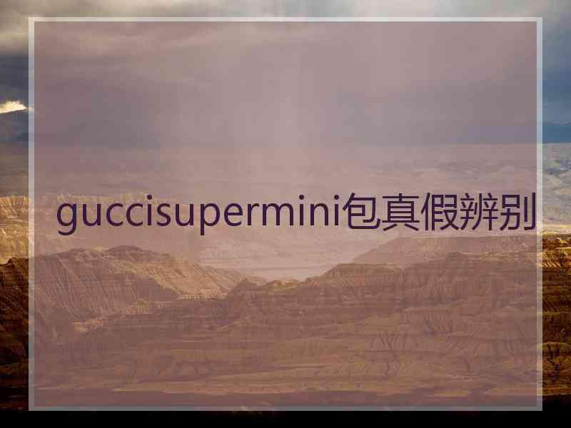 guccisupermini包真假辨别