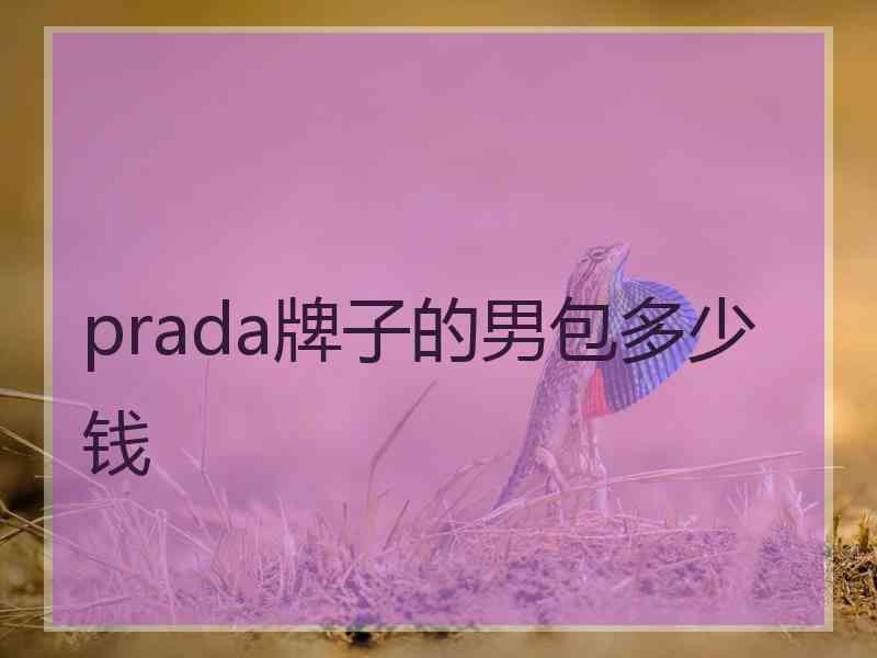 prada牌子的男包多少钱