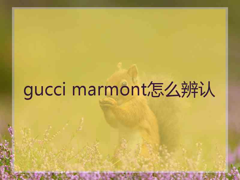 gucci marmont怎么辨认