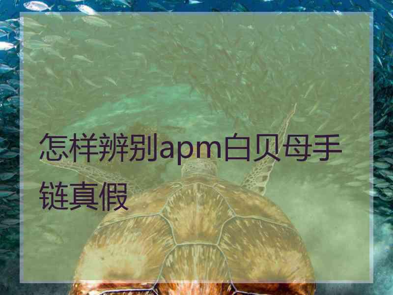 怎样辨别apm白贝母手链真假