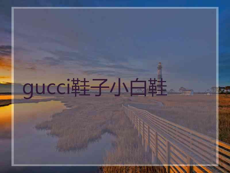 gucci鞋子小白鞋