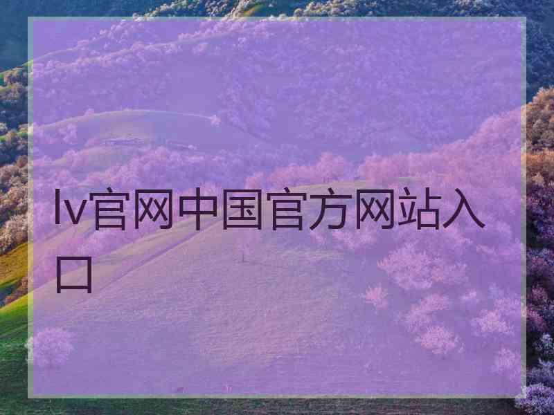 lv官网中国官方网站入口