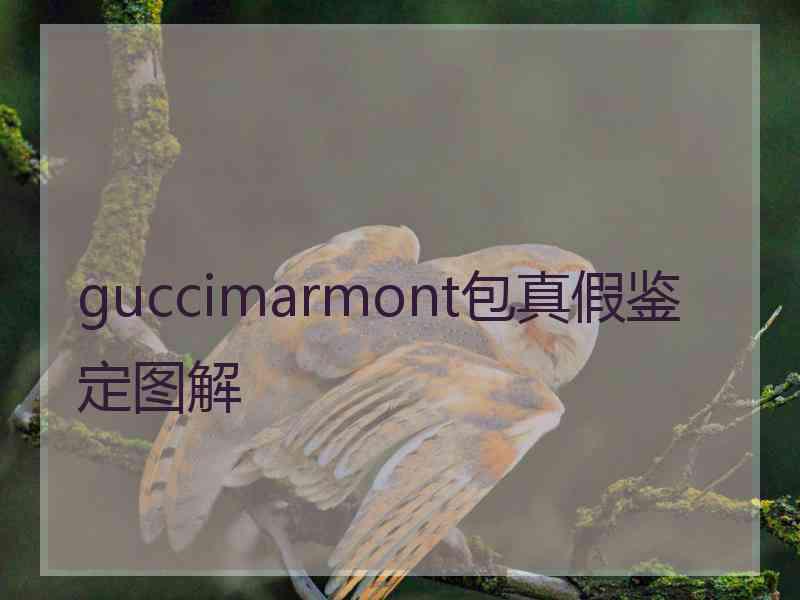 guccimarmont包真假鉴定图解