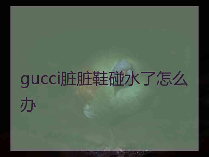 gucci脏脏鞋碰水了怎么办