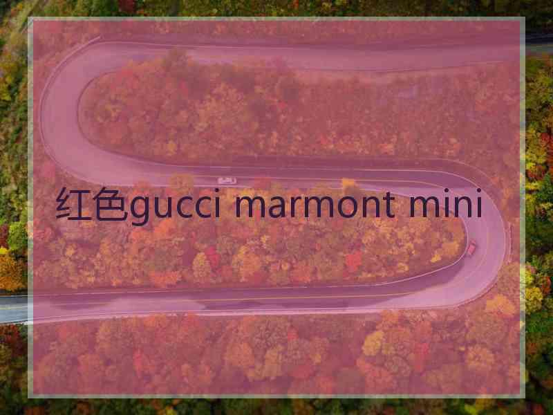 红色gucci marmont mini