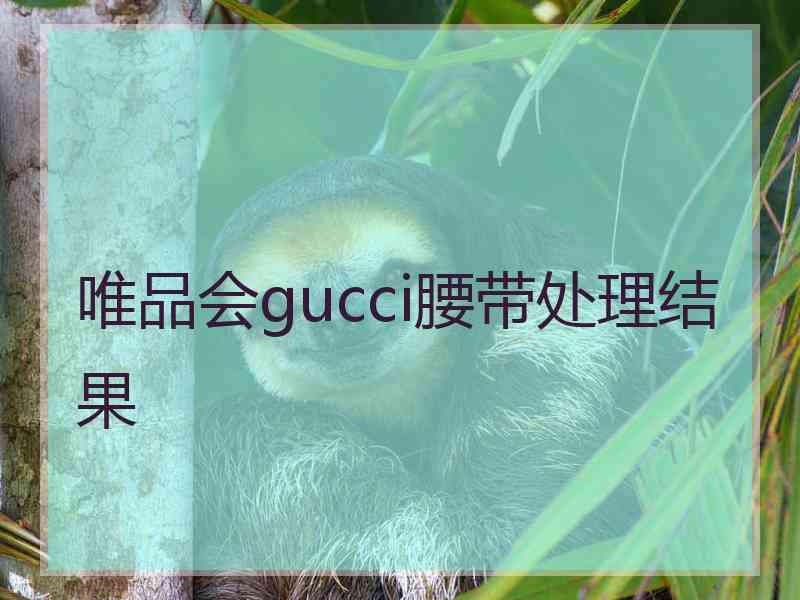 唯品会gucci腰带处理结果