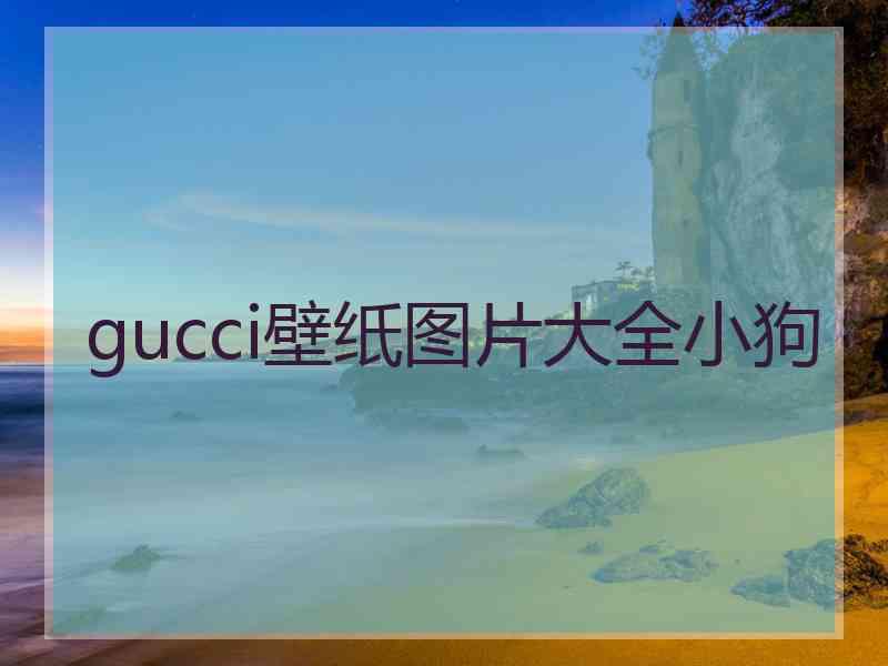 gucci壁纸图片大全小狗