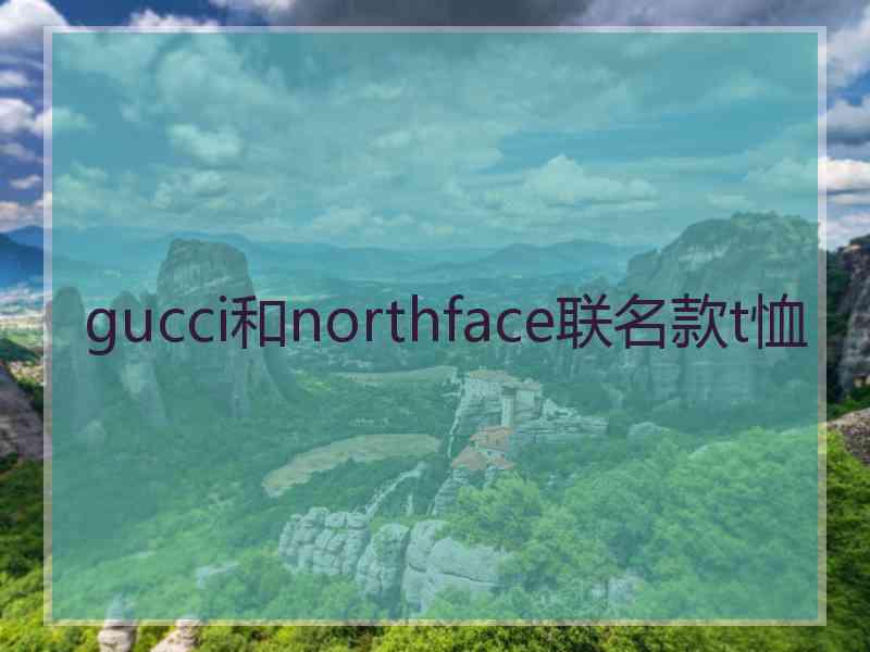 gucci和northface联名款t恤