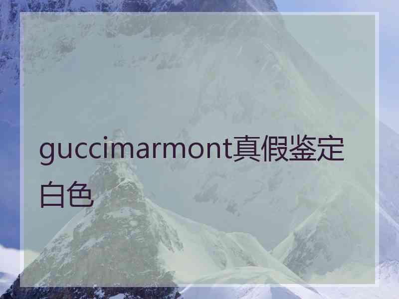 guccimarmont真假鉴定白色