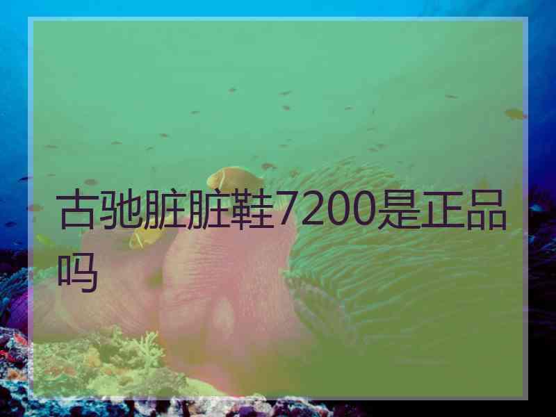 古驰脏脏鞋7200是正品吗