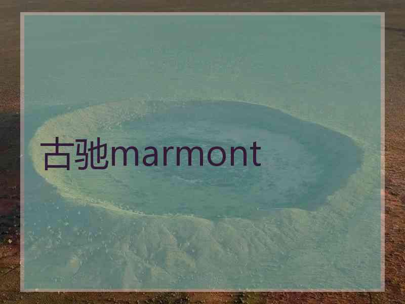 古驰marmont