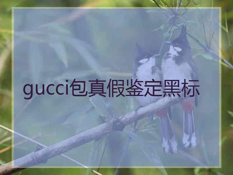 gucci包真假鉴定黑标