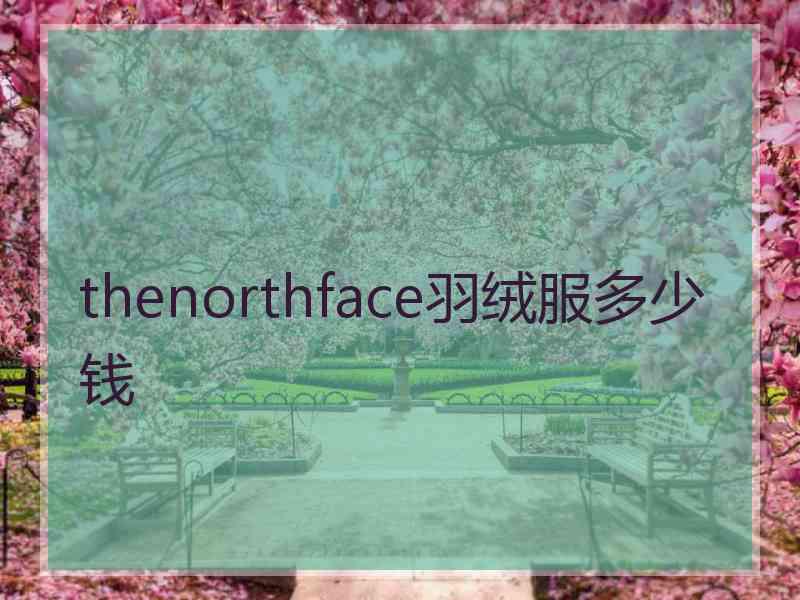 thenorthface羽绒服多少钱