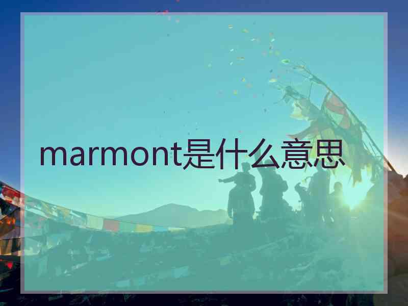 marmont是什么意思