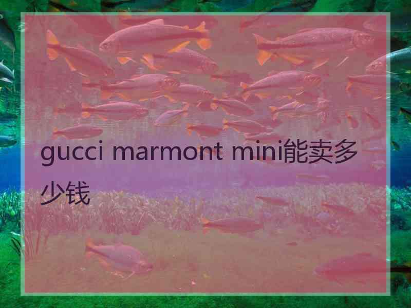 gucci marmont mini能卖多少钱