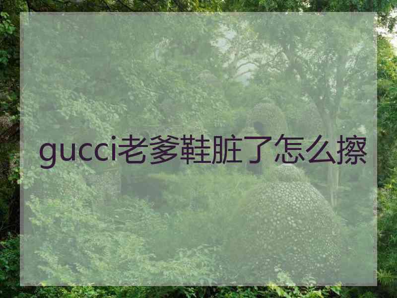 gucci老爹鞋脏了怎么擦