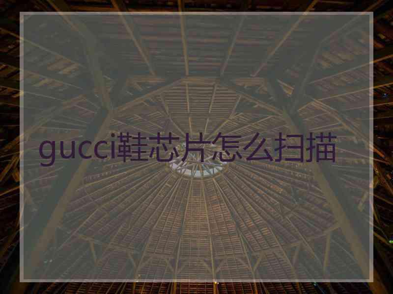 gucci鞋芯片怎么扫描