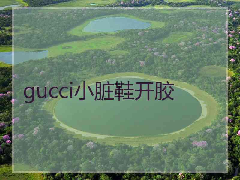 gucci小脏鞋开胶