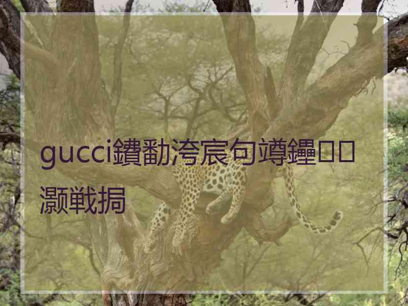 gucci鐨勫洿宸句竴鑸灏戦挶