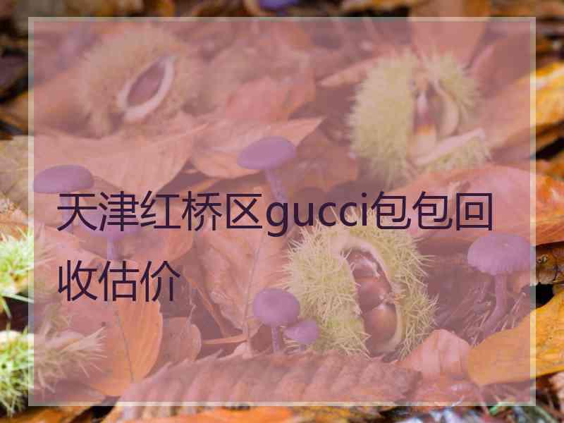 天津红桥区gucci包包回收估价