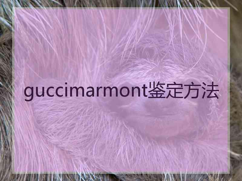 guccimarmont鉴定方法