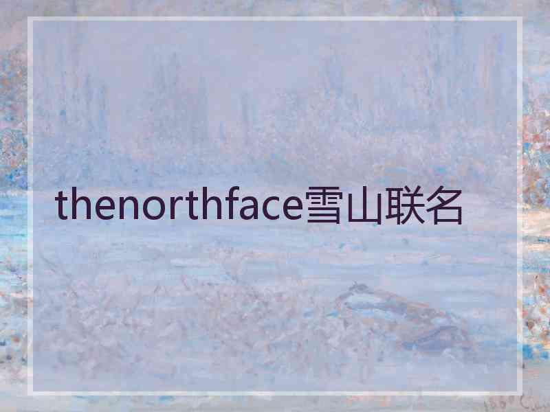 thenorthface雪山联名