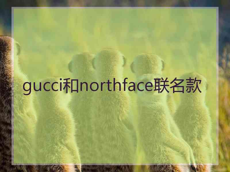 gucci和northface联名款