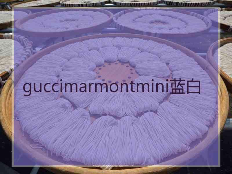 guccimarmontmini蓝白