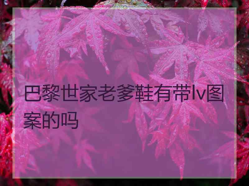 巴黎世家老爹鞋有带lv图案的吗