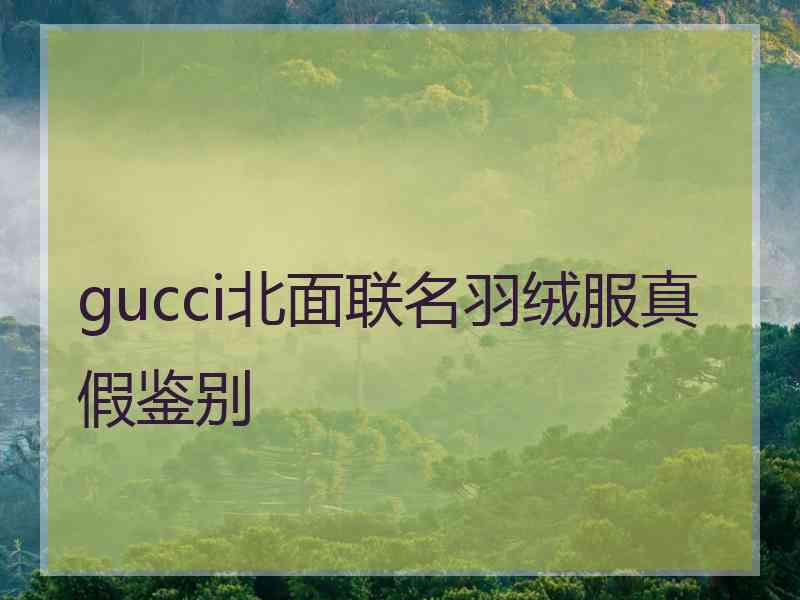 gucci北面联名羽绒服真假鉴别