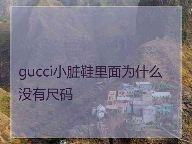 gucci小脏鞋里面为什么没有尺码