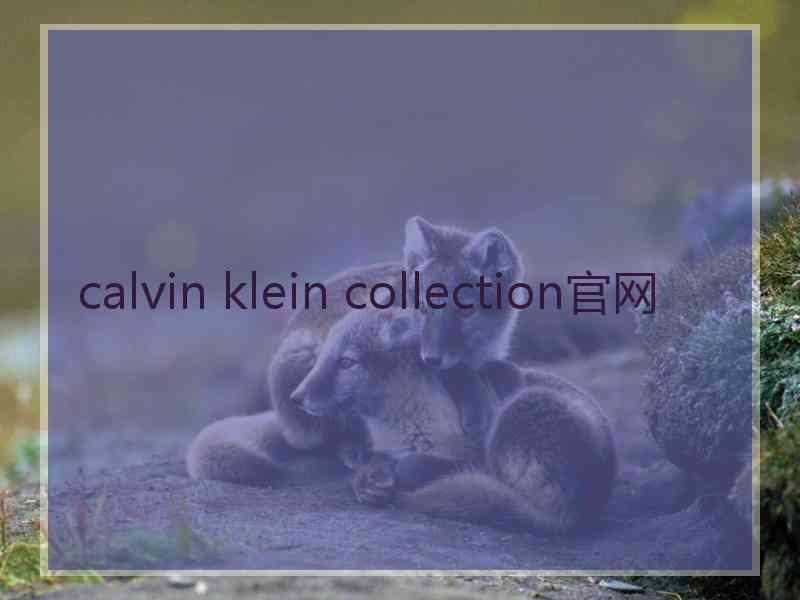 calvin klein collection官网