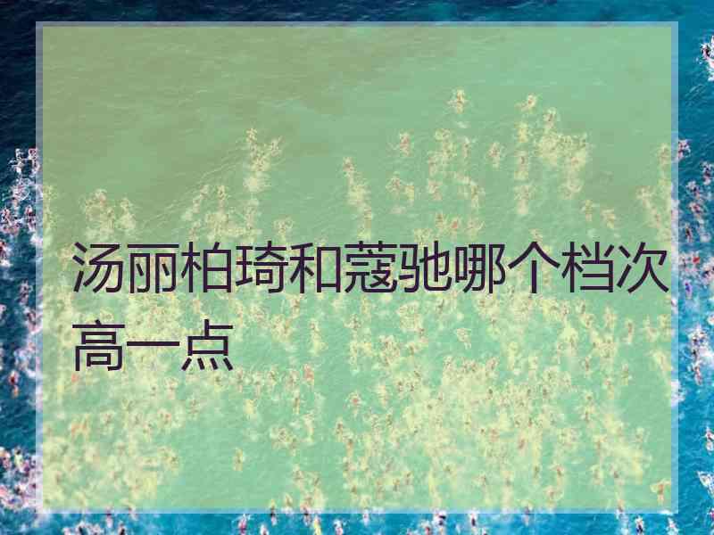 汤丽柏琦和蔻驰哪个档次高一点