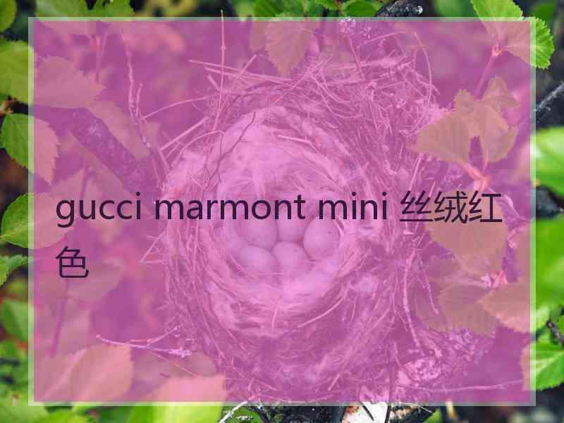 gucci marmont mini 丝绒红色