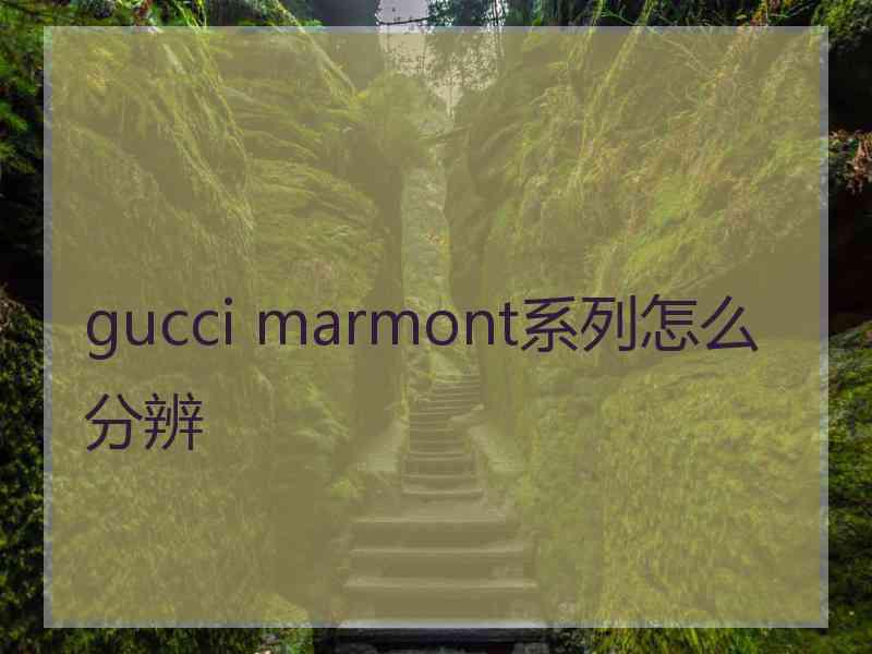 gucci marmont系列怎么分辨