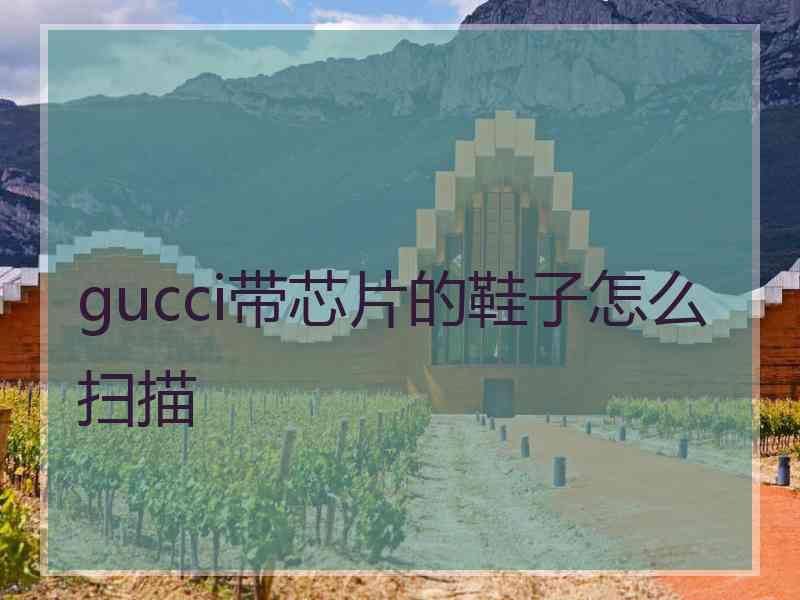 gucci带芯片的鞋子怎么扫描