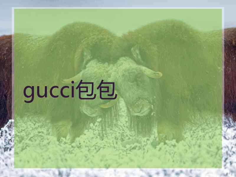 gucci包包