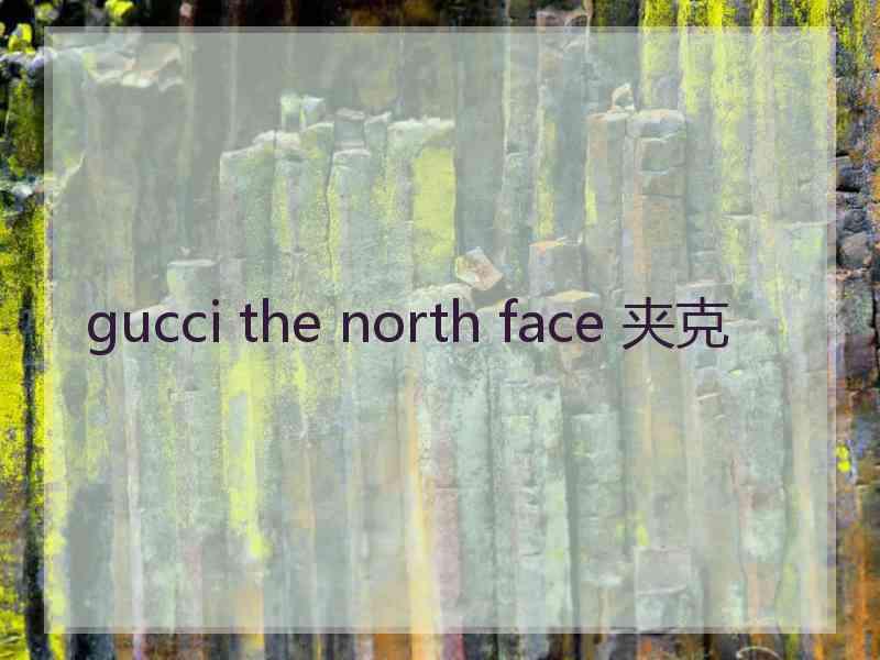 gucci the north face 夹克