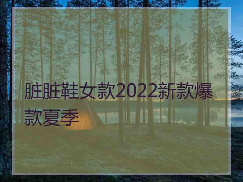 脏脏鞋女款2022新款爆款夏季