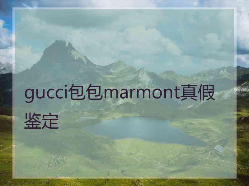 gucci包包marmont真假鉴定