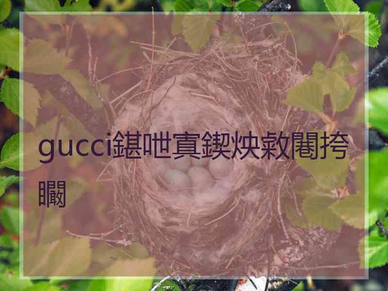 gucci鍖呭寘鍥炴敹闀挎矙