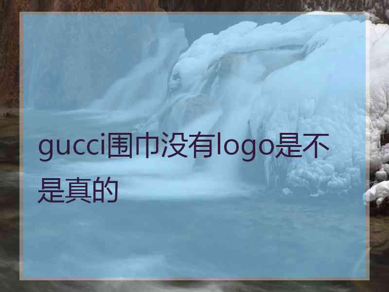 gucci围巾没有logo是不是真的