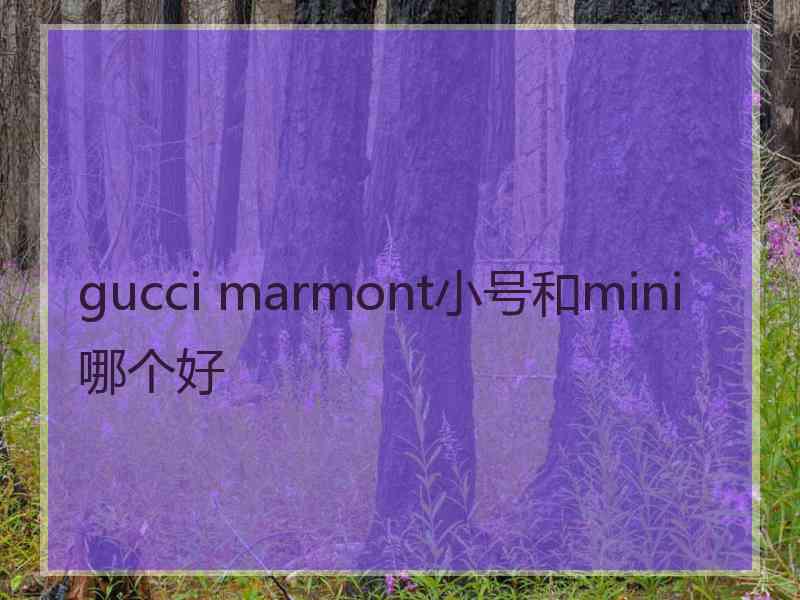 gucci marmont小号和mini哪个好