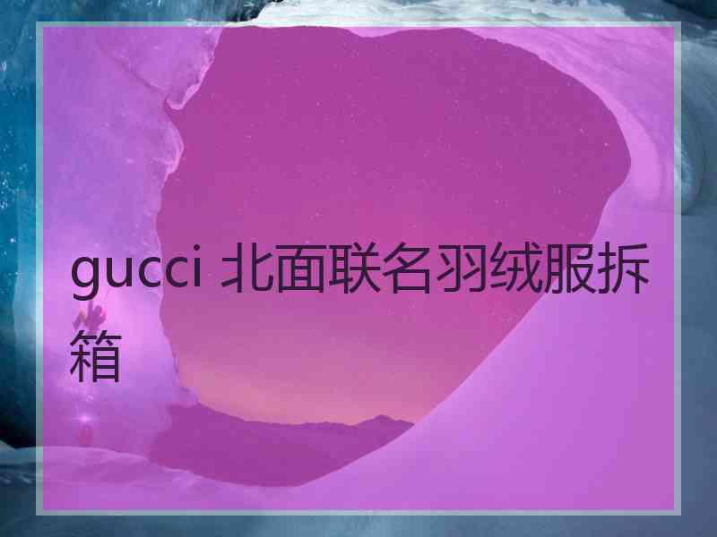 gucci 北面联名羽绒服拆箱