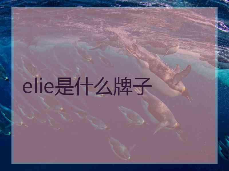 elie是什么牌子