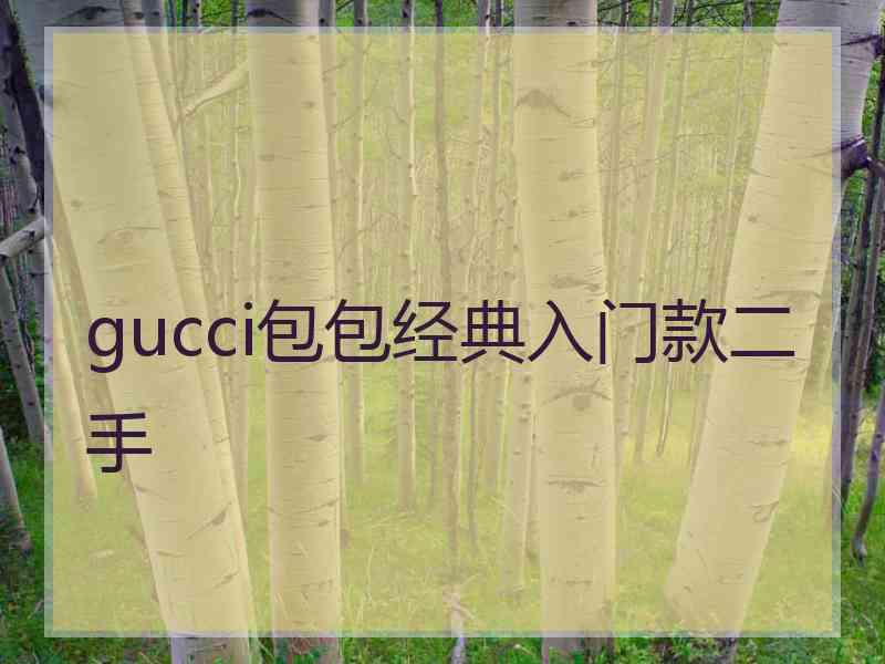 gucci包包经典入门款二手