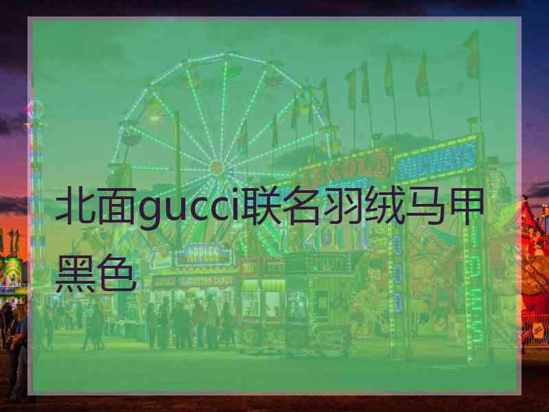 北面gucci联名羽绒马甲黑色