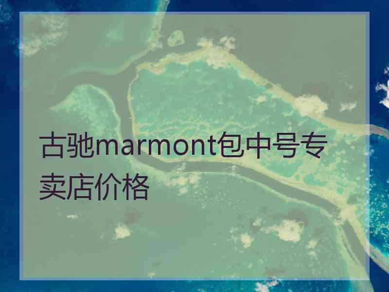 古驰marmont包中号专卖店价格