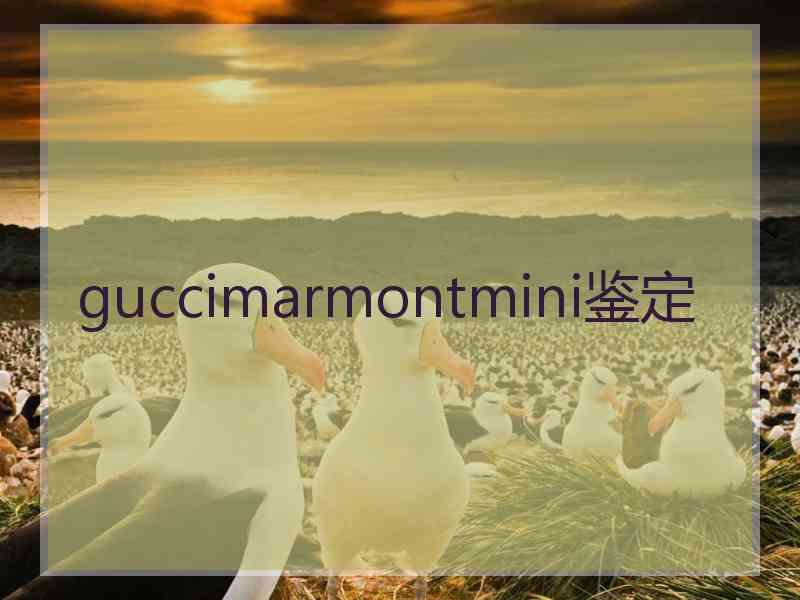 guccimarmontmini鉴定