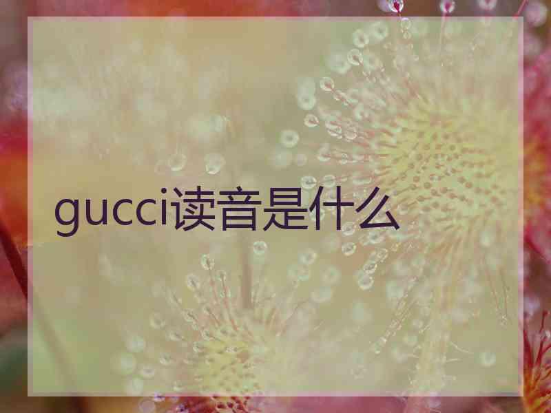 gucci读音是什么